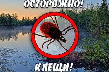 Осторожно клещи.