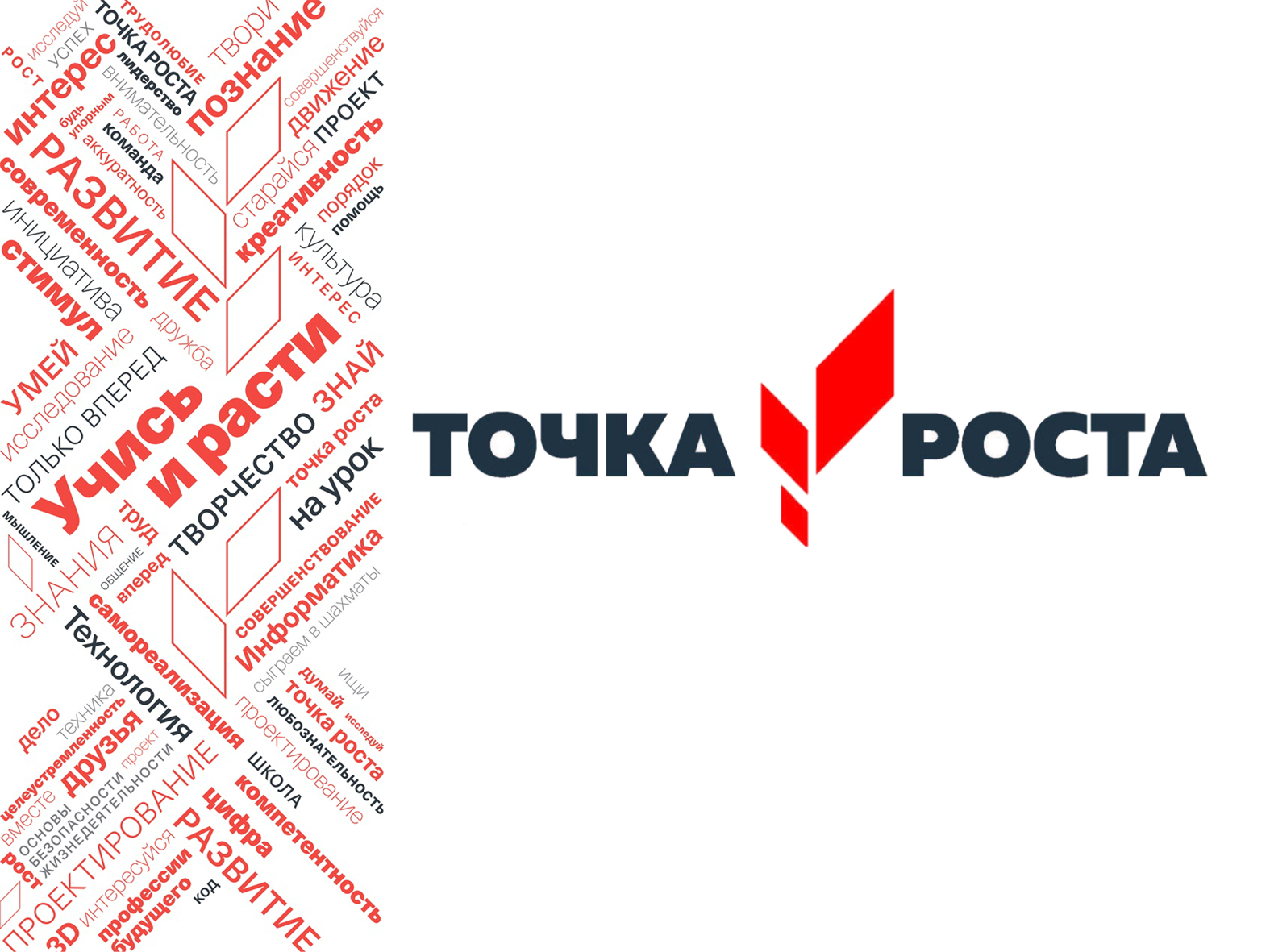 Руководители центров «Точка роста» и завучи обсудили важные вопросы на совещании.