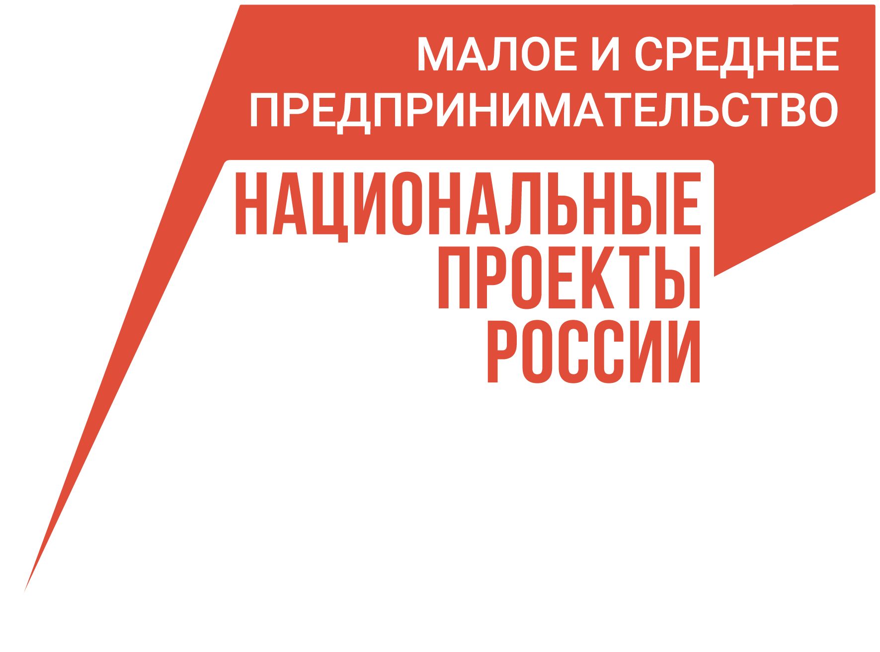 Количество социальных предпринимателей в Красноярском крае с начала 2023 года увеличилось на 22%.