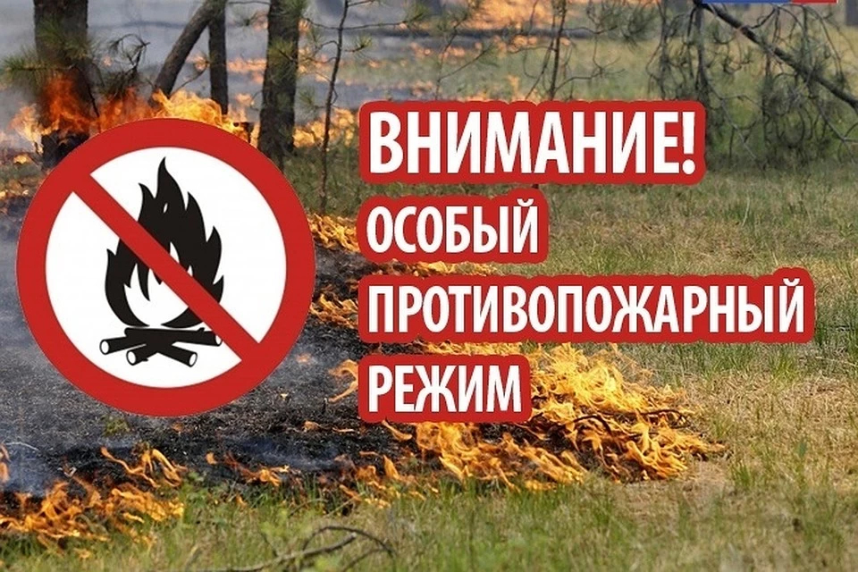 На территории Красноярского края введен особый противопожарный режим.