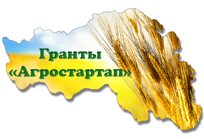 Начинающий фермер из Ачинского района получит грант «Агростартап».