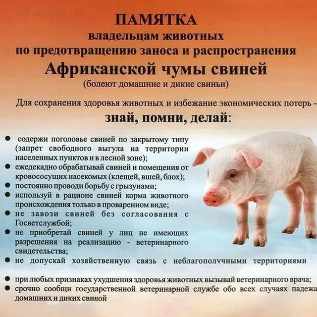 Важная информация.