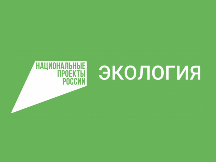 В Красноярском крае появились дополнительные пункты приёма вторсырья. В Красноярском крае появились дополнительные пункты приёма вторсырья.