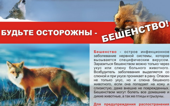 Указом Губернатора Красноярского края на территории с. Преображенка установлены ограничительные мероприятия (карантин) по заболеванию – бешенство животных до 9 февраля 2025 года. Указом Губернатора Красноярского края на территории с. Преображенка установлены ограничительные мероприятия (карантин) по заболеванию – бешенство животных до 9 февраля 2025 года.