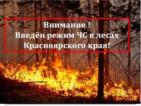 О введении режима чрезвычайной ситуации в лесах Красноярского края. О введении режима чрезвычайной ситуации в лесах Красноярского края.