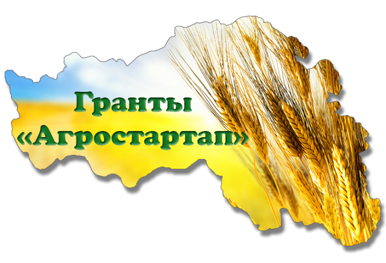 Начинающий фермер из Ачинского района получит грант «Агростартап». Начинающий фермер из Ачинского района получит грант «Агростартап».