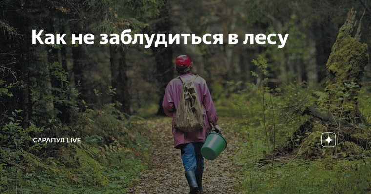 Памятка «Как не заблудиться в лесу». Памятка «Как не заблудиться в лесу».