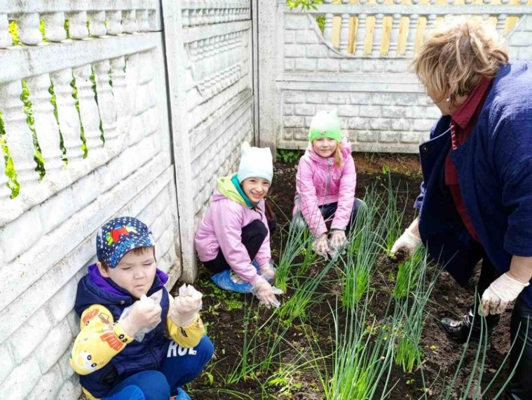 В детских садах Ачинского района реализуются летние проекты.